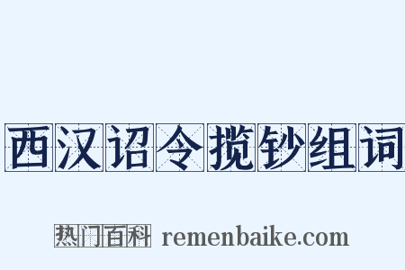 西汉诏令揽钞组词是什么意思的图片